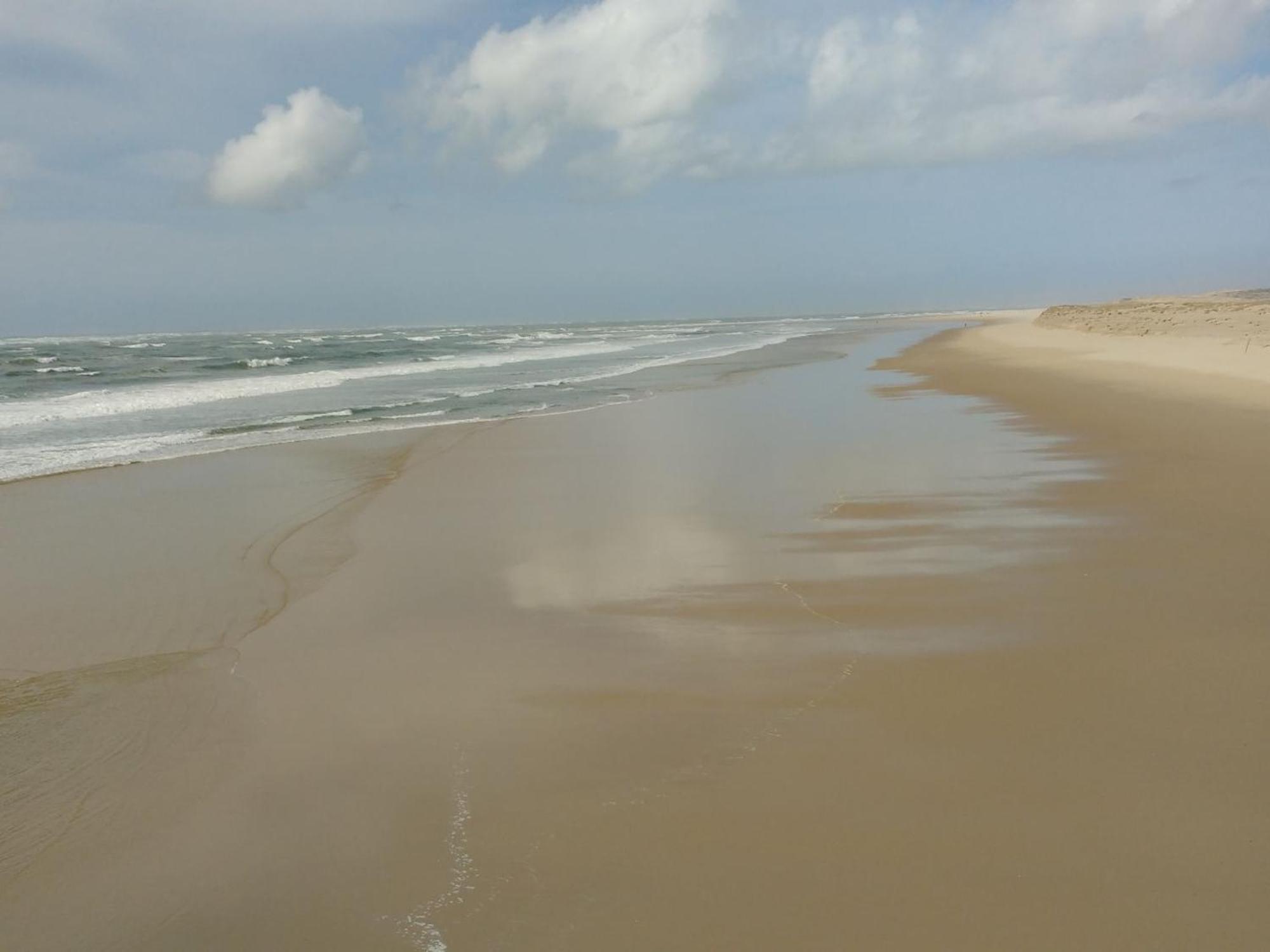Charmant Appartement Pour 6 En Centre-Ville D'Arcachon Avec Terrasse, Parking Et Wifi - Fr-1-474-174 Eksteriør bilde